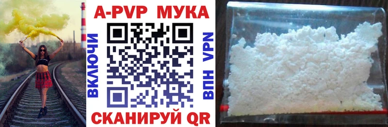 mega tor  Яхрома  A PVP крисы CK 