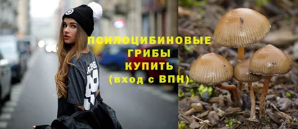 дмт Абинск