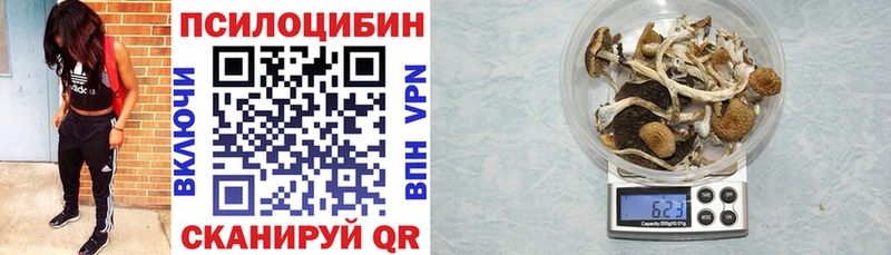 Галлюциногенные грибы прущие грибы  kraken как войти  Яхрома 